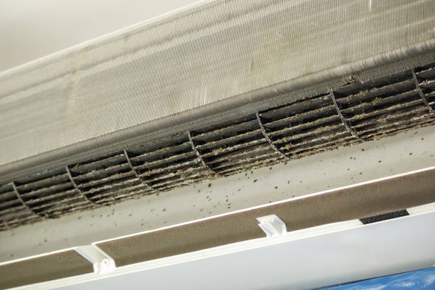Best HVAC System Cleaning  in Strafford, MO